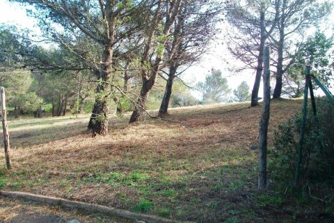 Land zum Verkauf in Begur, Girona, Spanien Nr. 141168 - Foto 11
