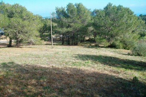 Land zum Verkauf in Begur, Girona, Spanien Nr. 141168 - Foto 12