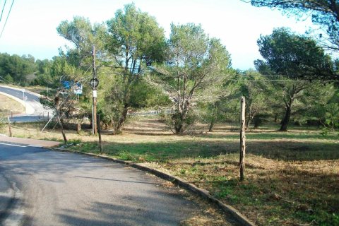 Land zum Verkauf in Begur, Girona, Spanien Nr. 141168 - Foto 10