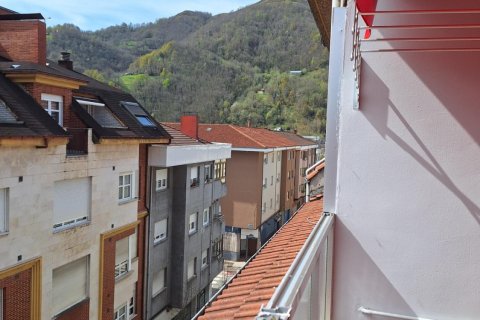 Takvåning till salu i Laviana, Asturias, Spanien 3 sovrum, 125 kvm. Nr. 182825 - foto 7
