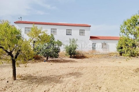 Talo Albox, Almeria, Espanja 3 makuuhuonetta, 170 m2 No. 183981