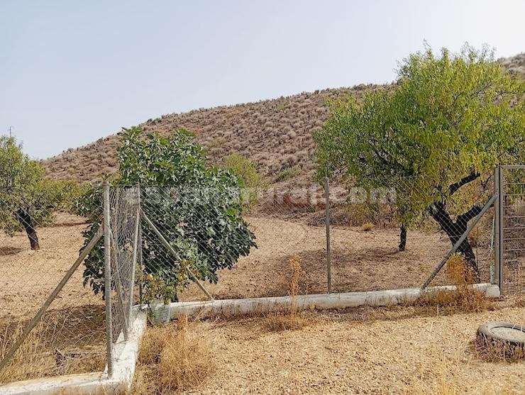 Talo Albox, Almeria, Espanja 3 makuuhuonetta, 170 m2 No. 183981
