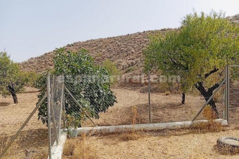 Продажа дома в Альбокс, Альмерия, Испания 3 спальни, 170м2 №183981 - фото 15