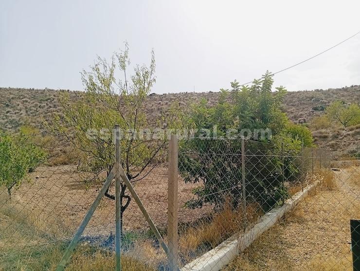 Talo Albox, Almeria, Espanja 3 makuuhuonetta, 170 m2 No. 183981