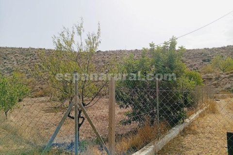 Продажа дома в Альбокс, Альмерия, Испания 3 спальни, 170м2 №183981 - фото 14