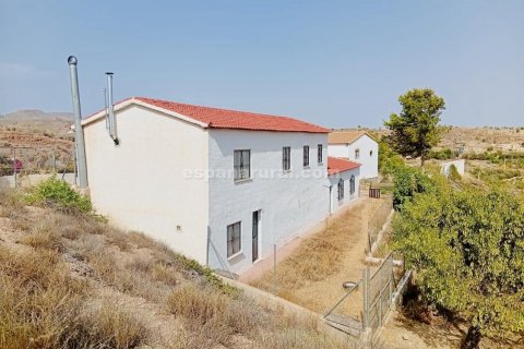 Продажа дома в Альбокс, Альмерия, Испания 3 спальни, 170м2 №183981 - фото 16