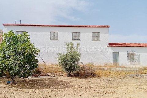 Продажа дома в Альбокс, Альмерия, Испания 3 спальни, 170м2 №183981 - фото 13