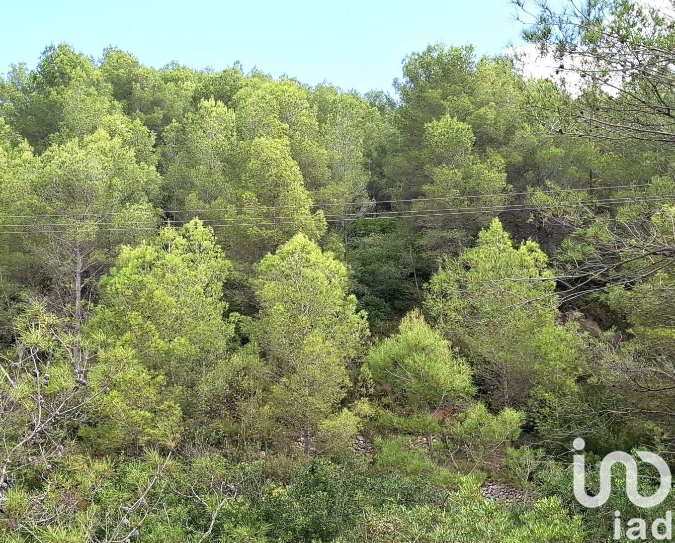 Parcela en Benidoleig, Alicante, España 10350 m2 No. 185647