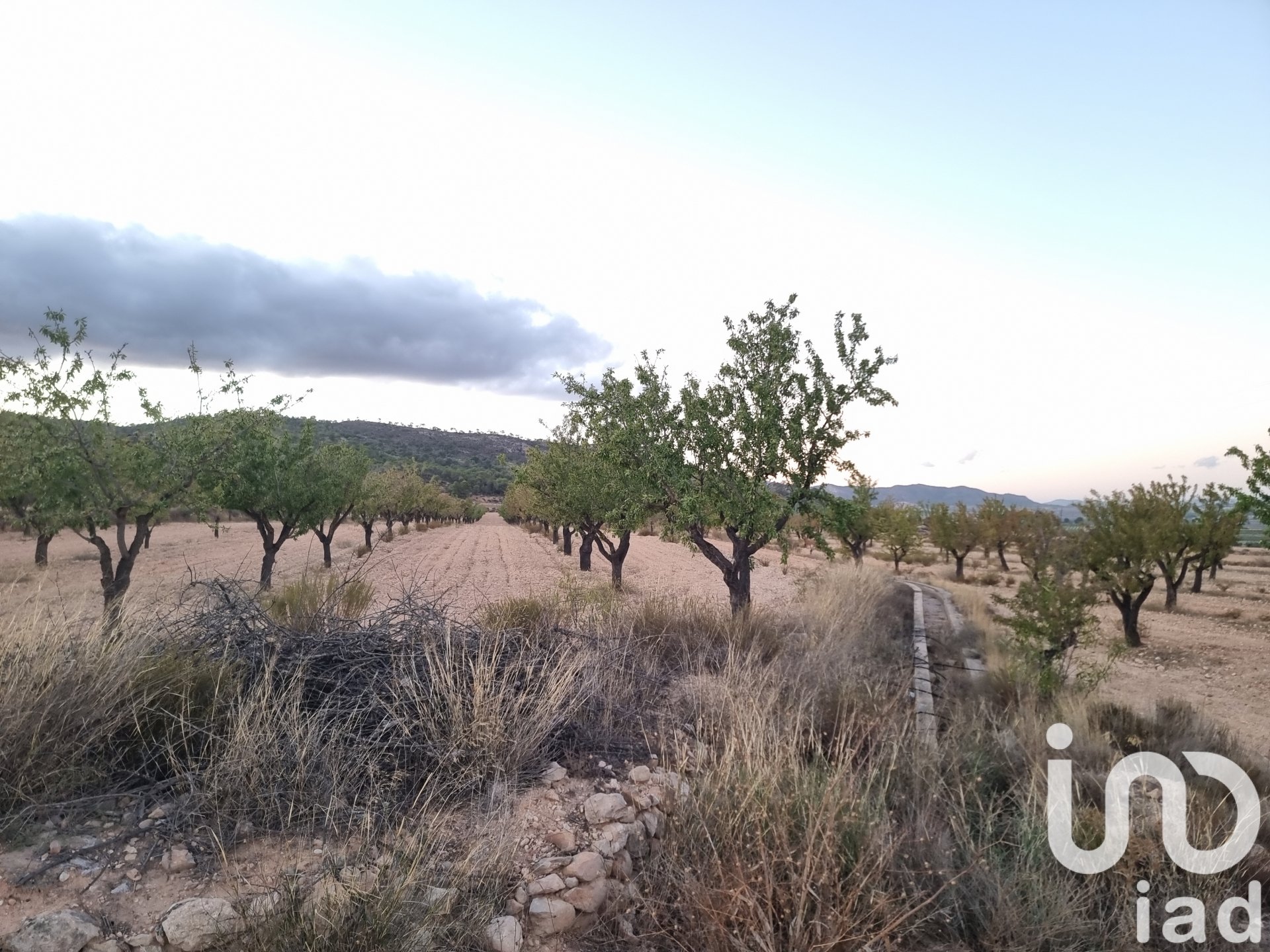 Land plot in Salinas, Alicante, Spain 21460 sq.m. No. 185646