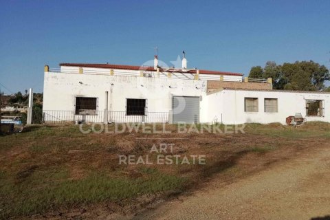 House zum Verkauf in Alhaurin de la Torre, Malaga, Spanien 3 Schlafzimmer, 2100 m2 Nr. 159875 - Foto 18