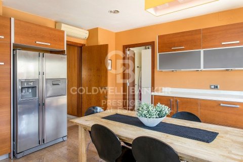 House à louer à Esplugues de Llobregat, Barcelona, Espagne, 5 chambres, 490 m2 No. 179228 - photo 9