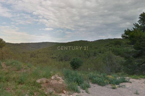 Zemes gabals pārdošanā Castellet i la Gornal, Barcelona, Spānijā Nr. 186339 - attēls 4