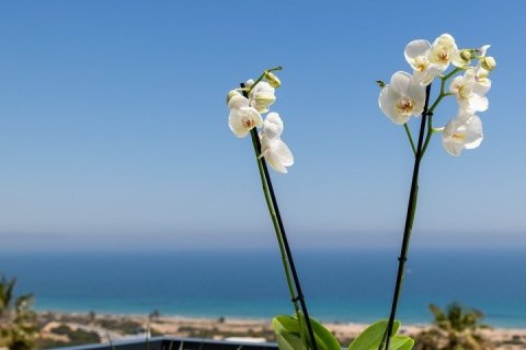 Wohnung zum Verkauf in Gran Alacant, Alicante, Spanien 3 Schlafzimmer, 97 m2 Nr. 142280 - Foto 20