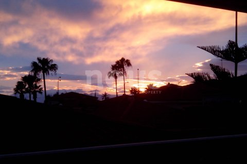 Bungalow w Callao Salvaje, Tenerife, Hiszpania 3 sypialnie, nr 146289 – zdjęcie 11