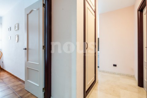 Penthouse w El Medano, Tenerife, Hiszpania 2 sypialnie, 119 mkw. nr 146288 – zdjęcie 25