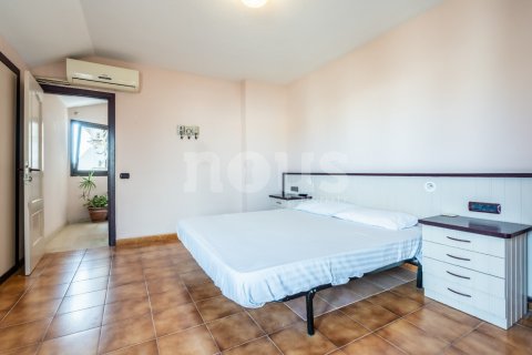 Penthouse w El Medano, Tenerife, Hiszpania 2 sypialnie, 119 mkw. nr 146288 – zdjęcie 29