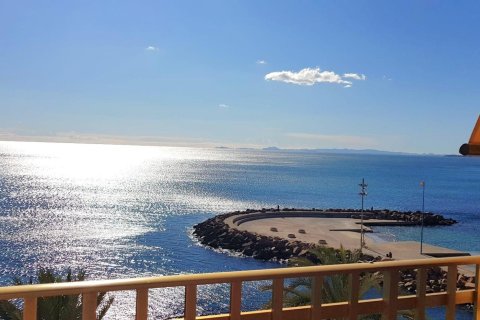 Lägenhet i Torrevieja, Alicante, Spanien 4 sovrum, 130 kvm. Nr. 156267