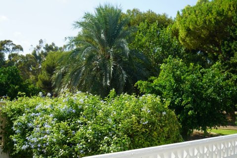 Townhouse zum Verkauf in Alicante, Spanien 3 Schlafzimmer, 80 m2 Nr. 140337 - Foto 21