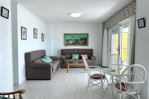 Продажа квартиры Торревьеха, Аликанте, Испания 3 спальни, 119м2 №117091 - фото 17