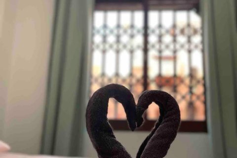 Wohnung zum Verkauf in Torrevieja, Alicante, Spanien 2 Schlafzimmer,  Nr. 165793 - Foto 19