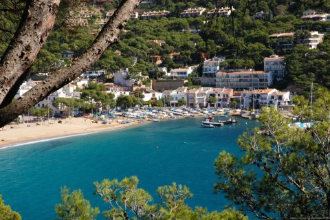 House zur Miete in Llafranc, Girona, Spanien 4 Schlafzimmer, Nr. 141243 - Foto 29