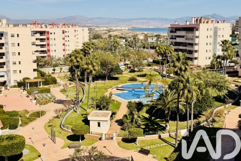 Apartment in Elche, Alicante, Spain 1 bedroom, 64 sq.m. No. 172590