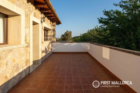 Продажа финки в Аларо, Майорка, Испания 7 спален, 484м2 №194099 - фото 23