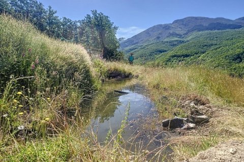 Liikekiinteistö myytävänä Hervas, Caceres, Espanja ,  No. 153957 - kuva 14