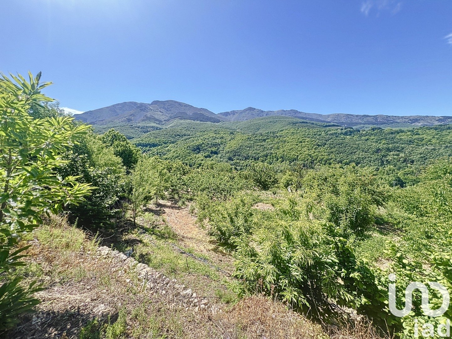 Commercial property à Hervas, Caceres, Espagne No. 153957