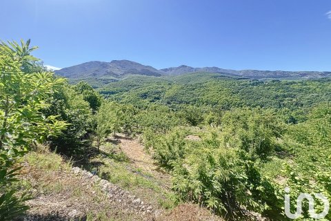 Liikekiinteistö myytävänä Hervas, Caceres, Espanja ,  No. 153957 - kuva 21