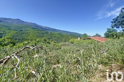 Liikekiinteistö myytävänä Hervas, Caceres, Espanja ,  No. 153957 - kuva 11