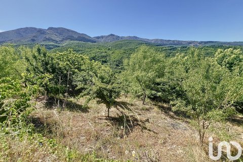 Liikekiinteistö myytävänä Hervas, Caceres, Espanja ,  No. 153957 - kuva 19