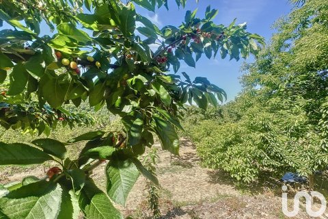 Liikekiinteistö myytävänä Hervas, Caceres, Espanja ,  No. 153957 - kuva 22