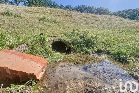 Liikekiinteistö myytävänä Hervas, Caceres, Espanja ,  No. 153957 - kuva 8