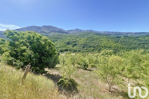 Liikekiinteistö myytävänä Hervas, Caceres, Espanja ,  No. 153957 - kuva 18