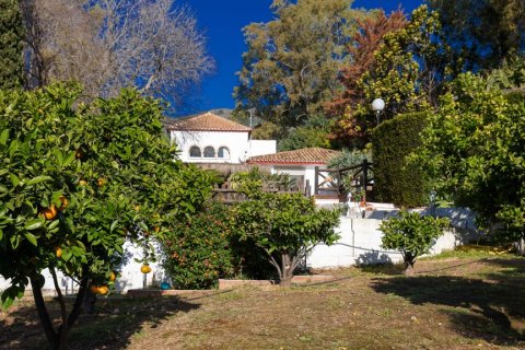 Villa till salu Benalmadena, Malaga, Spanien 7 sovrum, 505 kvm. Nr. 107871 - foto 28