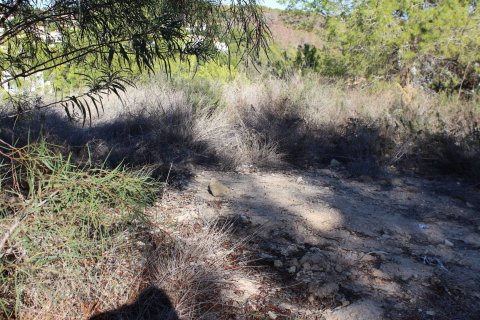 Terreno in vendita a Benissa, Alicante, Spagna 624 mq. N° 147714 - foto 8