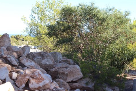 Terreno in vendita a Benissa, Alicante, Spagna 624 mq. N° 147714 - foto 7