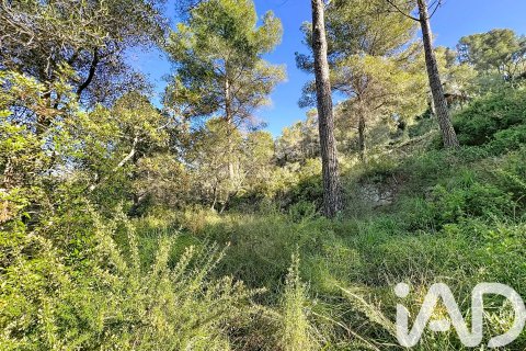 Działka w Sant Pere de Ribes, Barcelona, Hiszpania 1480 mkw. nr 173232 – zdjęcie 11