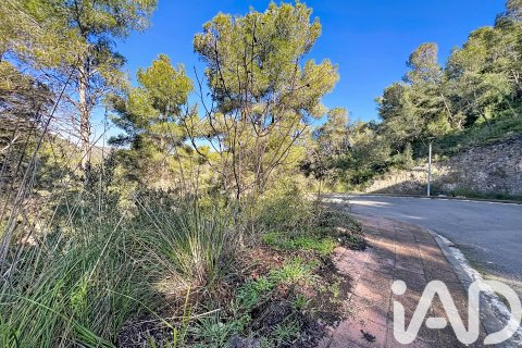 Działka w Sant Pere de Ribes, Barcelona, Hiszpania 1480 mkw. nr 173232 – zdjęcie 14