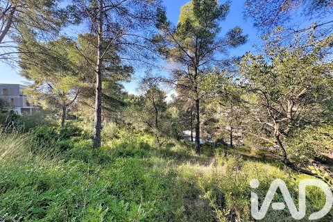 Działka w Sant Pere de Ribes, Barcelona, Hiszpania 1480 mkw. nr 173232 – zdjęcie 13
