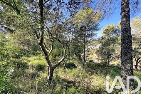 Działka w Sant Pere de Ribes, Barcelona, Hiszpania 1480 mkw. nr 173232 – zdjęcie 10