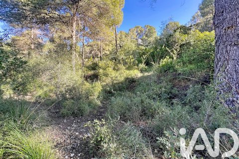 Działka w Sant Pere de Ribes, Barcelona, Hiszpania 1480 mkw. nr 173232 – zdjęcie 15