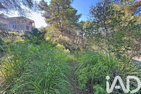 Działka w Sant Pere de Ribes, Barcelona, Hiszpania 1480 mkw. nr 173232 – zdjęcie 7