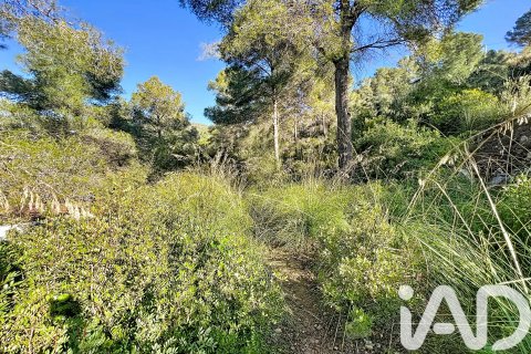 Działka w Sant Pere de Ribes, Barcelona, Hiszpania 1480 mkw. nr 173232 – zdjęcie 8
