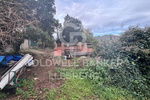 Tontti myytävänä Barcelona, Espanja , 452 m2 No. 157243 - kuva 8