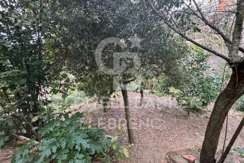 Tomt till salu i Barcelona, Spanien 452 kvm. Nr. 157243 - foto 6