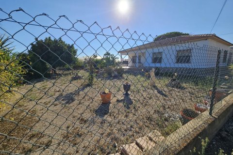 Finca à vendre à Guardamar del Segura, Alicante, Espagne, 3 chambres, 137 m2 No. 139307 - photo 5