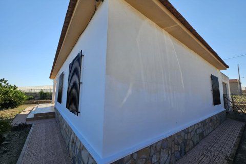 Finca à vendre à Guardamar del Segura, Alicante, Espagne, 3 chambres, 137 m2 No. 139307 - photo 9
