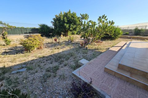 Finca à vendre à Guardamar del Segura, Alicante, Espagne, 3 chambres, 137 m2 No. 139307 - photo 6